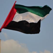 Emirati flag