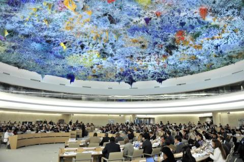 the un human rights council