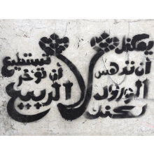 © Bahia Shehab, You May Crush the Flowers, But You Cannot Delay the Spring (verse by poet Pablo Neruda), 2011. Cairo. Calligraffiti.