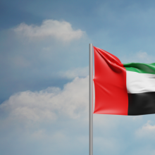 UAE flag