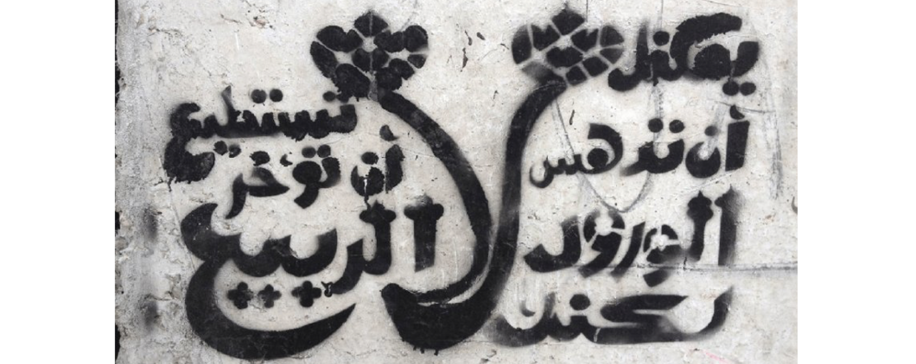 © Bahia Shehab, You May Crush the Flowers, But You Cannot Delay the Spring (verse by poet Pablo Neruda), 2011. Cairo. Calligraffiti.